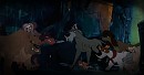 Confrontation au détour d'une ruelle