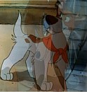 Dodger and Rita blend