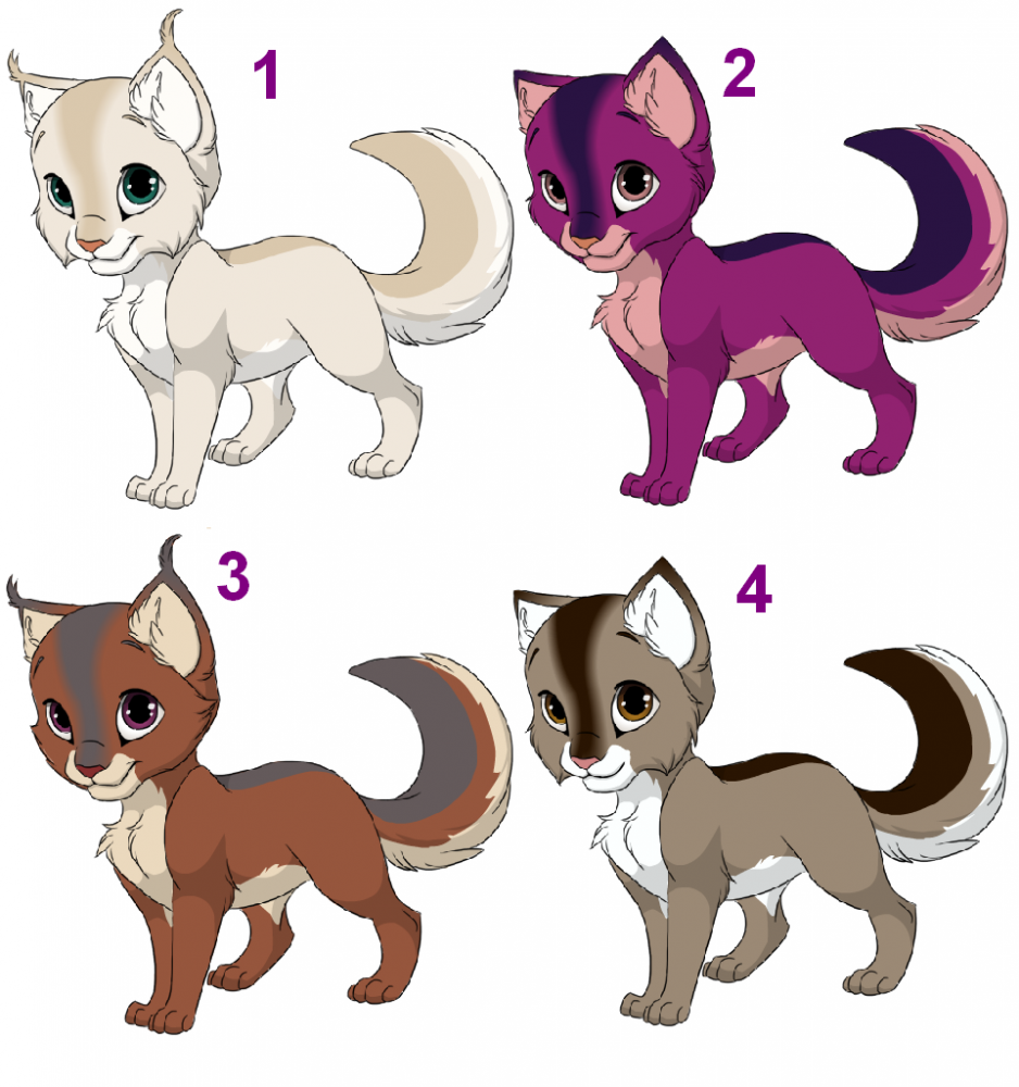 adoptables