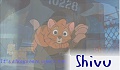 Shivu