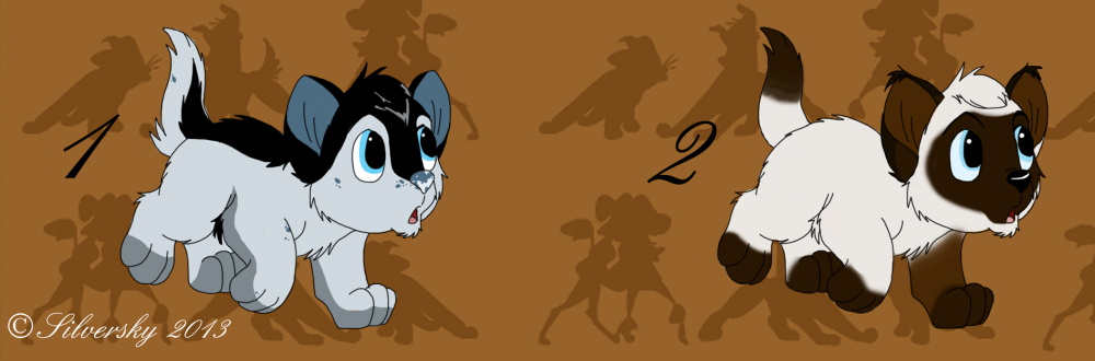 Adoptions [OUVERT]