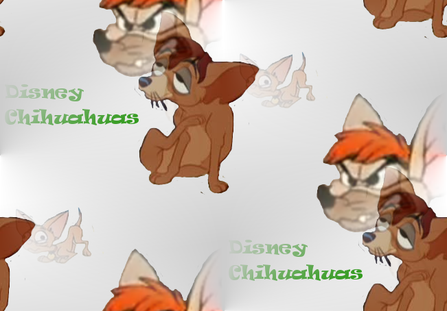 Disney Chihuahuas!