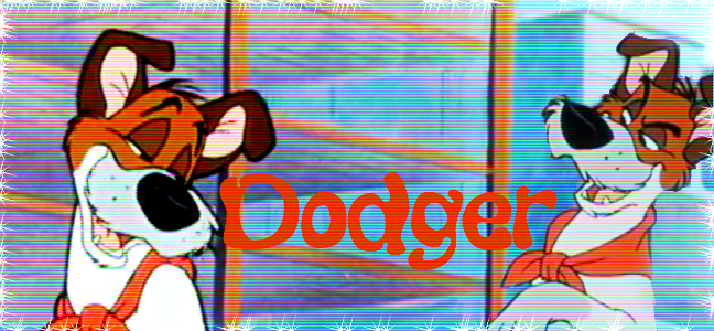 Dodger