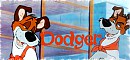 Dodger