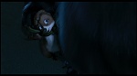 Over the Hedge picture