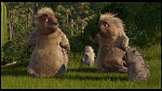 Over the Hedge picture