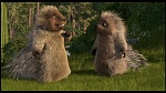Over the Hedge picture