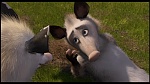 Over the Hedge picture