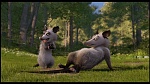 Over the Hedge picture