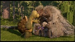 Over the Hedge picture