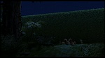 Over the Hedge picture