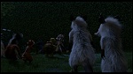 Over the Hedge picture