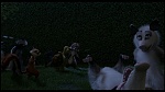 Over the Hedge picture