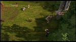 Over the Hedge picture