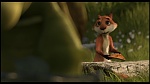 Over the Hedge picture