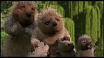Over the Hedge picture