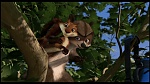 Over the Hedge picture