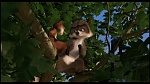 Over the Hedge picture