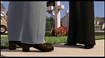 Over the Hedge picture