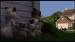 Over the Hedge picture