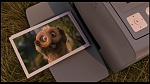 Over the Hedge picture