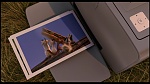 Over the Hedge picture