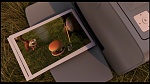 Over the Hedge picture