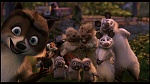 Over the Hedge picture