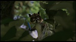 Over the Hedge picture