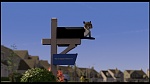 Over the Hedge picture