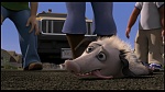 Over the Hedge picture