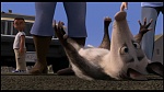 Over the Hedge picture