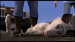 Over the Hedge picture
