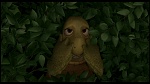 Over the Hedge picture