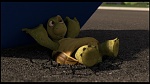 Over the Hedge picture