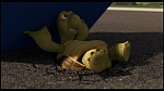 Over the Hedge picture