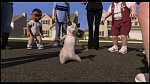 Over the Hedge picture
