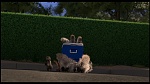 Over the Hedge picture