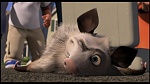 Over the Hedge picture
