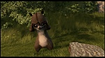 Over the Hedge picture