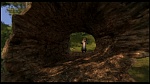 Over the Hedge picture