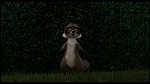 Over the Hedge picture