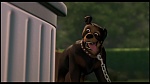 Over the Hedge picture