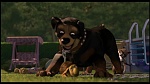 Over the Hedge picture