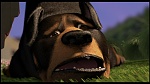 Over the Hedge picture