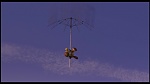 Over the Hedge picture