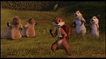 Over the Hedge picture