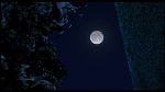 Over the Hedge picture