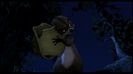 Over the Hedge picture