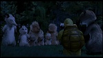 Over the Hedge picture